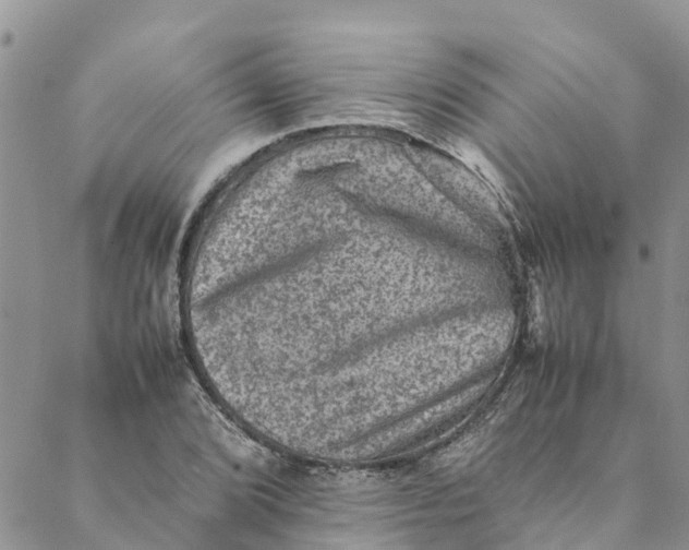 X0000088401072200706121229