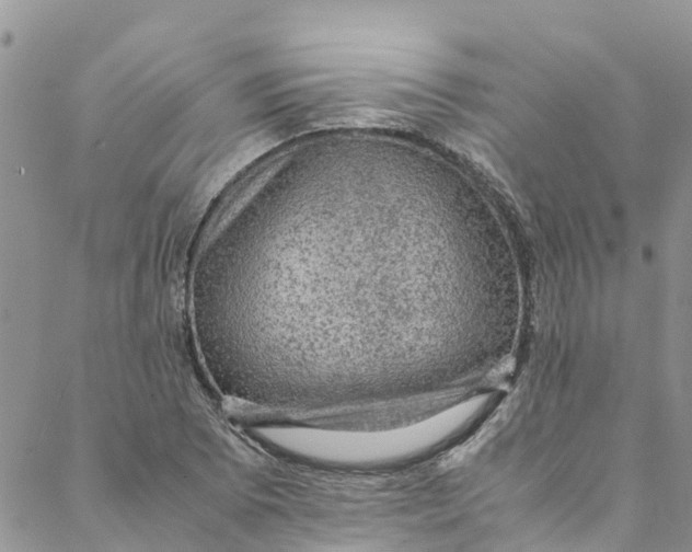 X0000088401073200706121229