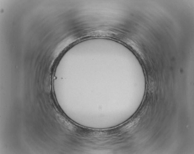 X0000088401075200706121229