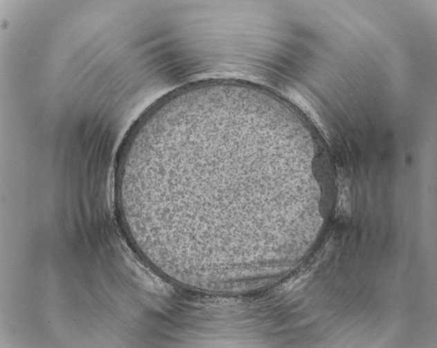 X0000088401076200706121229