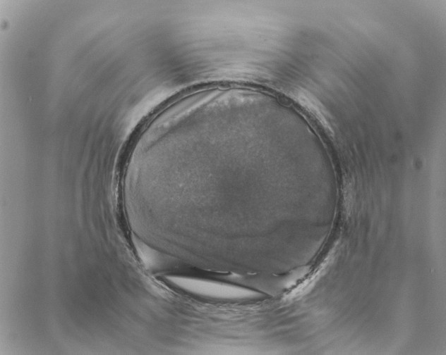 X0000088401077200706121229