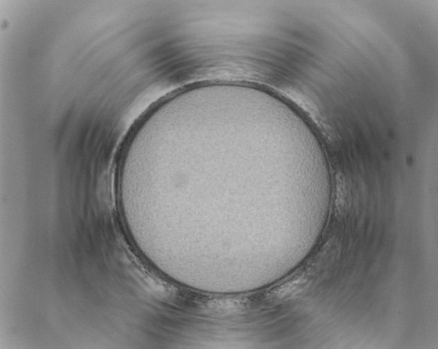 X0000088401078200706121229