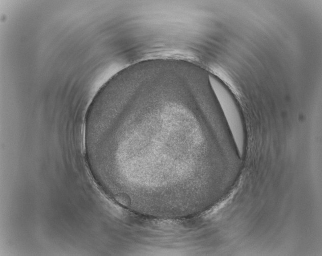 X0000088401079200706121229