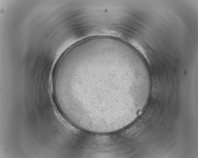 X0000088401080200706121229