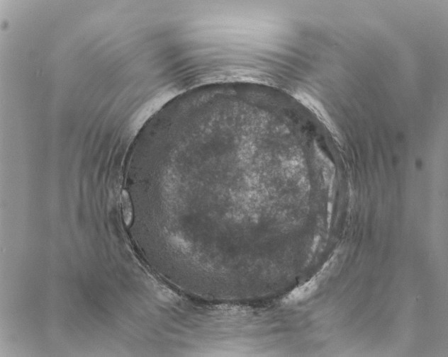 X0000088401081200706121229