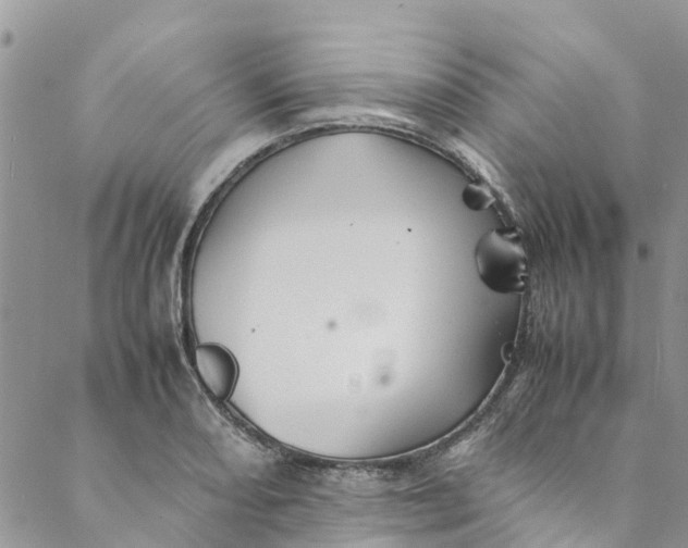 X0000088401082200706121229