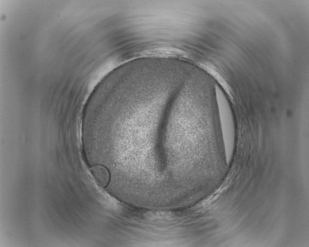 X0000088401083200706121229