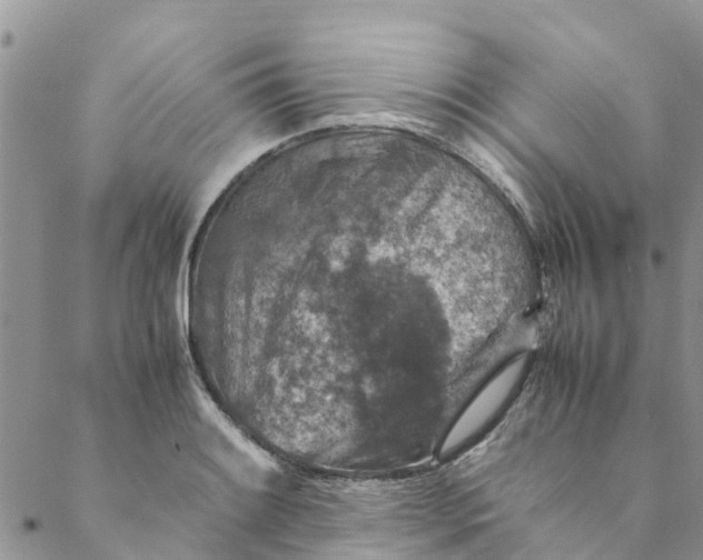 X0000088401084200706121229