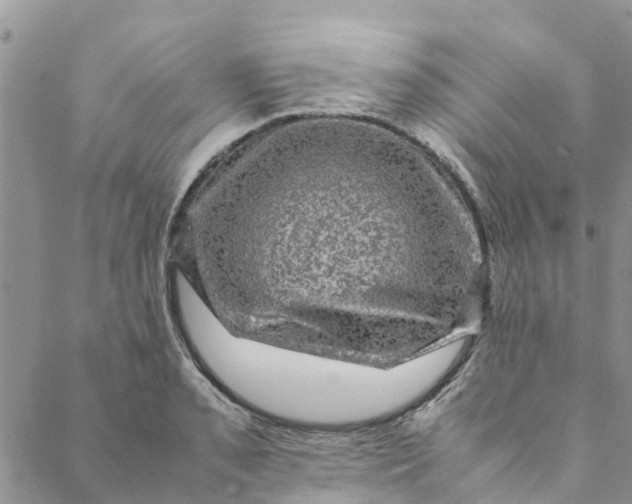 X0000088401085200706121229