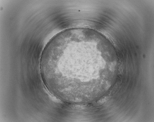 X0000088401086200706121229