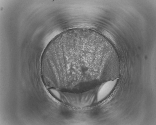 X0000088401087200706121229