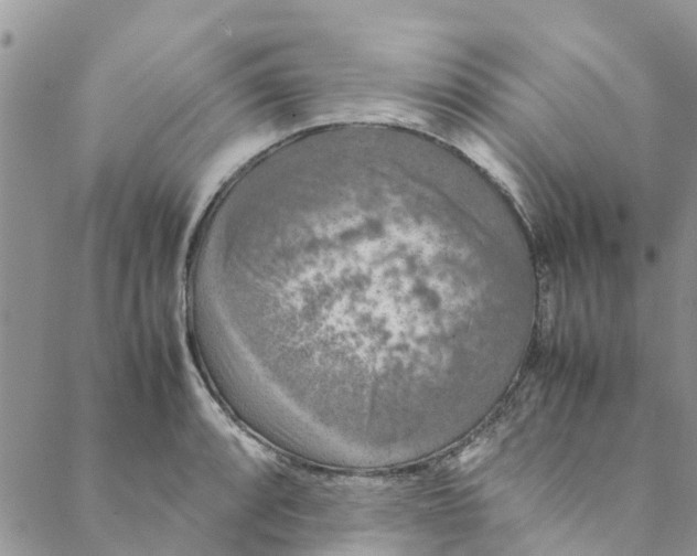 X0000088401088200706121229