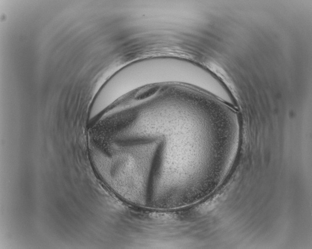 X0000088401089200706121229