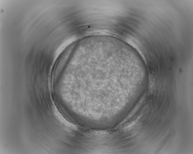 X0000088401090200706121229