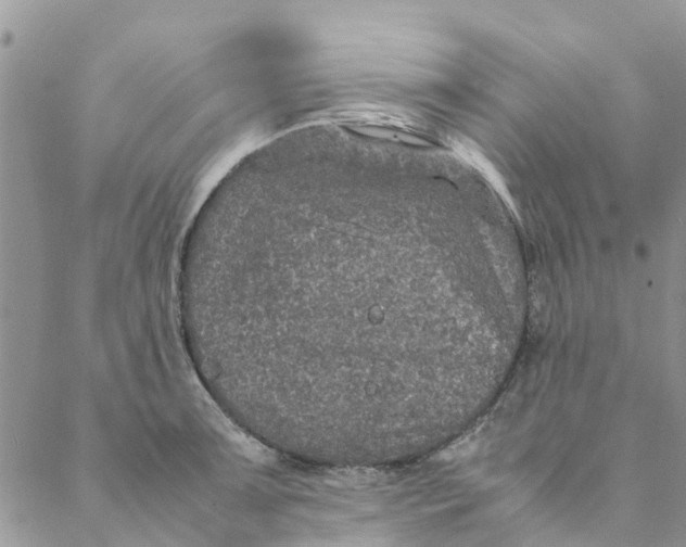 X0000088401091200706121229