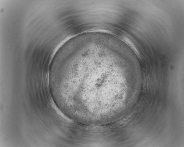 X0000088401092200706121229