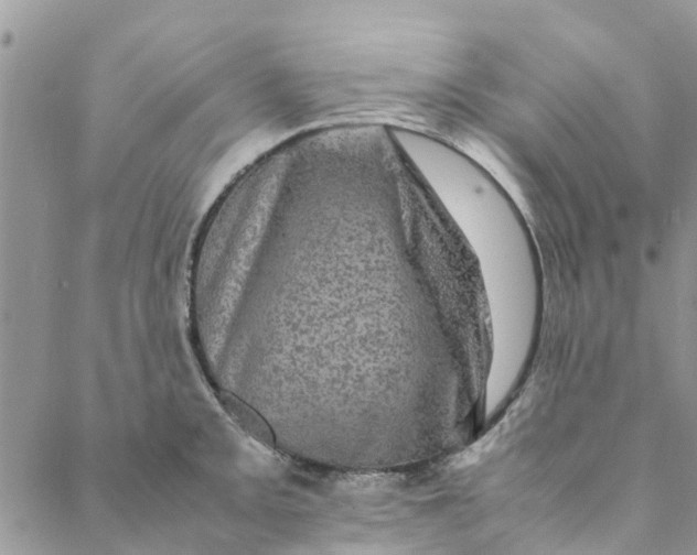 X0000088401093200706121229