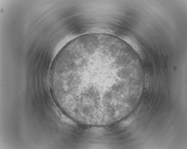 X0000088401094200706121229