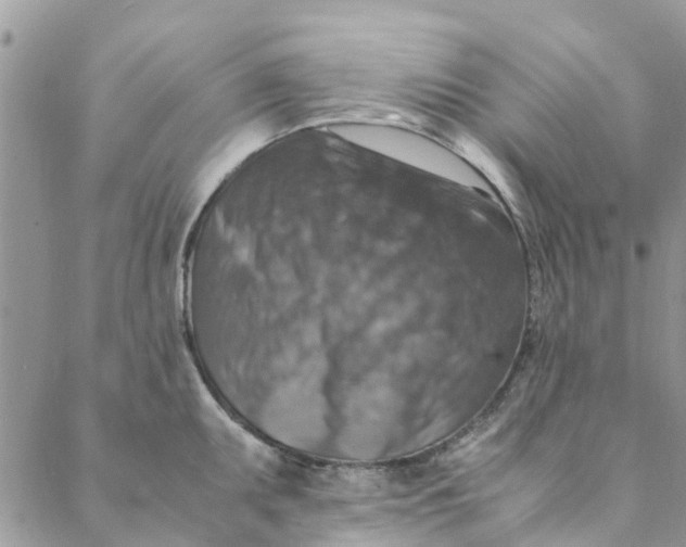 X0000088401095200706121229