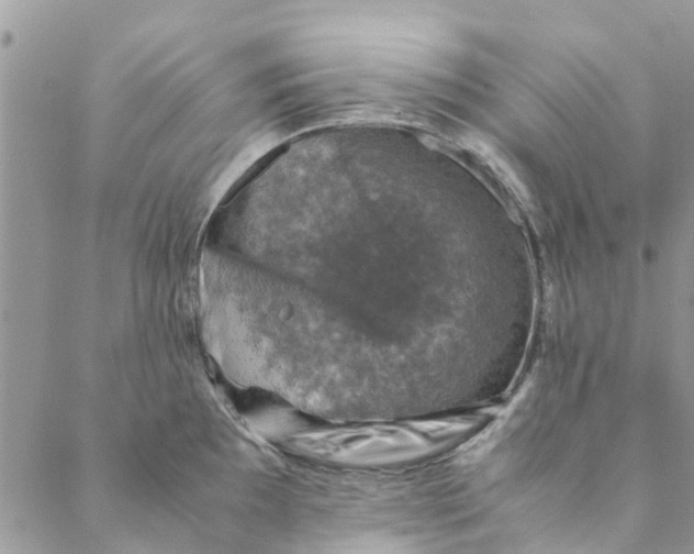 X0000088401097200706121229