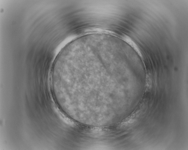 X0000088401098200706121229