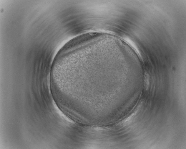 X0000088401100200706121229