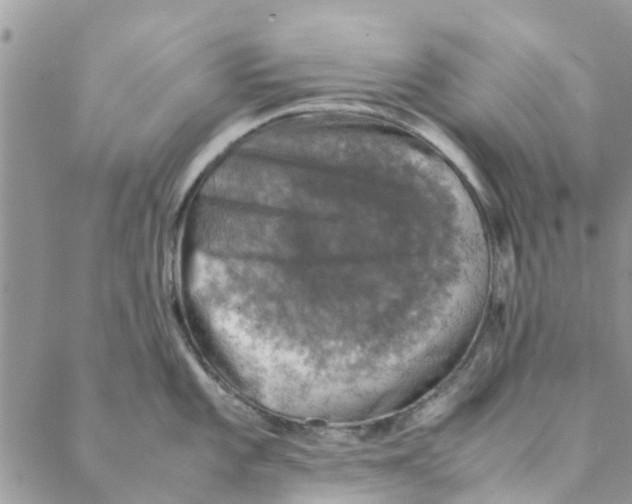 X0000088401101200706121229