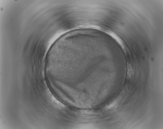 X0000088401102200706121229