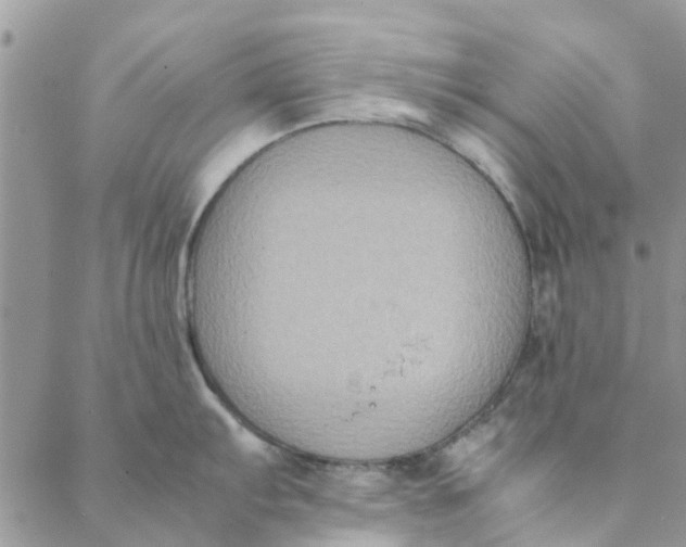 X0000088401103200706121229