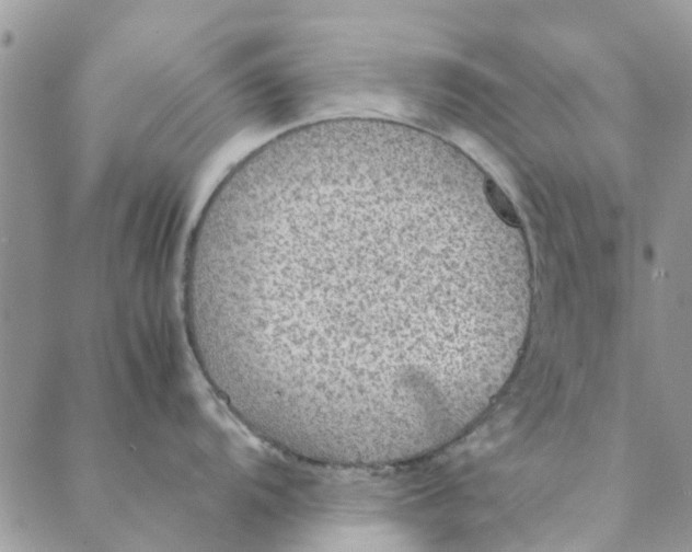 X0000088401104200706121229