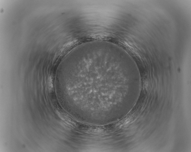 X0000088401106200706121228