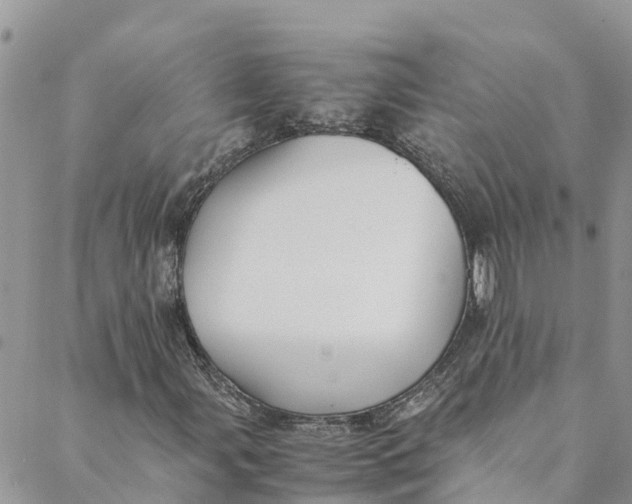 X0000088401107200706121228