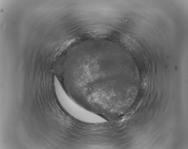 X0000088401108200706121228