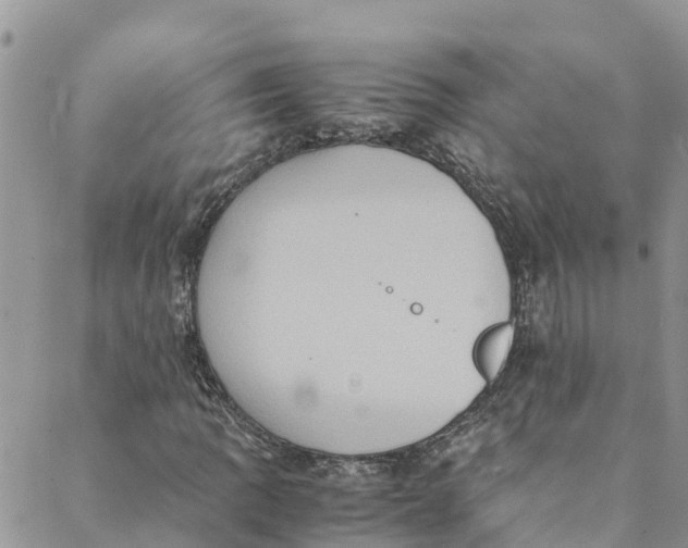 X0000088401109200706121228