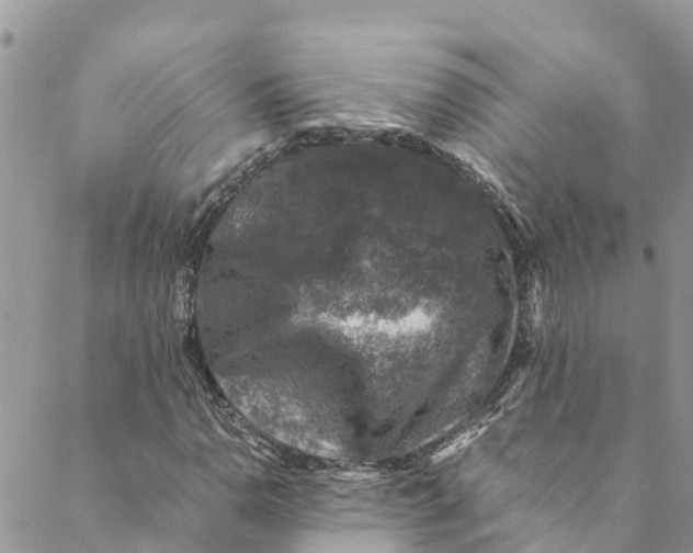 X0000088401110200706121228