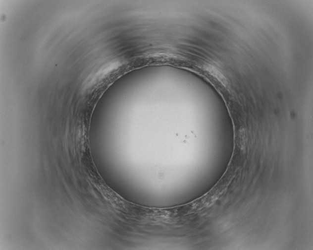 X0000088401111200706121228