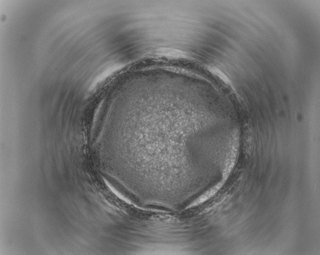 X0000088401112200706121228