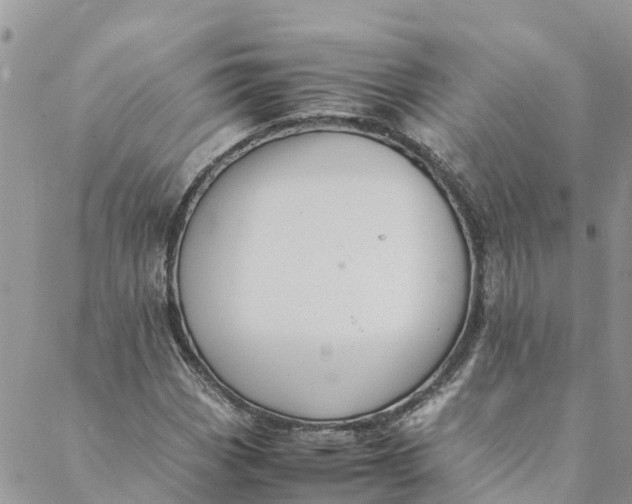 X0000088401113200706121228