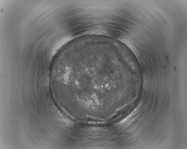 X0000088401115200706121228