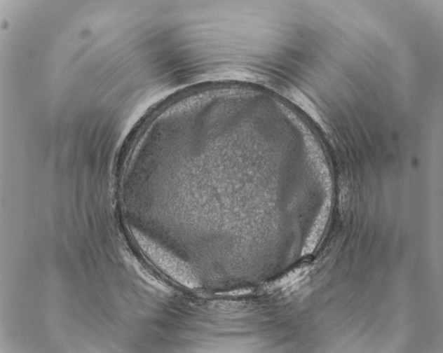 X0000088401116200706121228