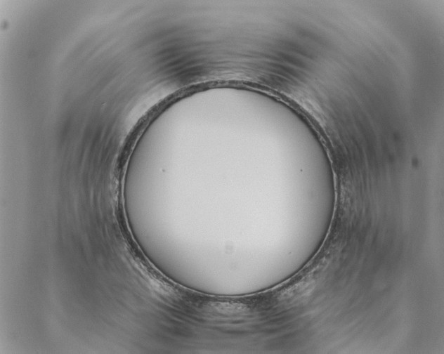 X0000088401119200706121228