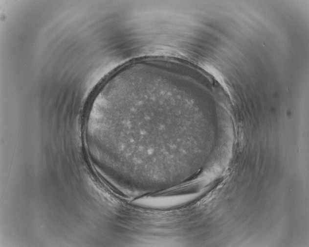 X0000088401120200706121228