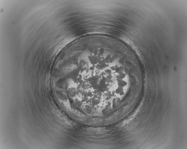 X0000088401121200706121228