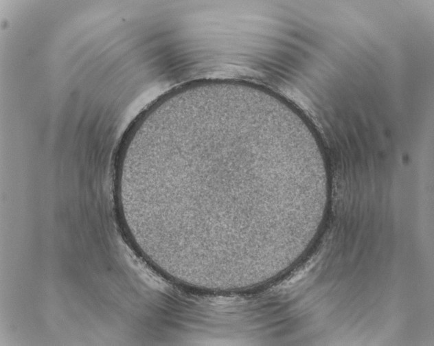 X0000088401122200706121228