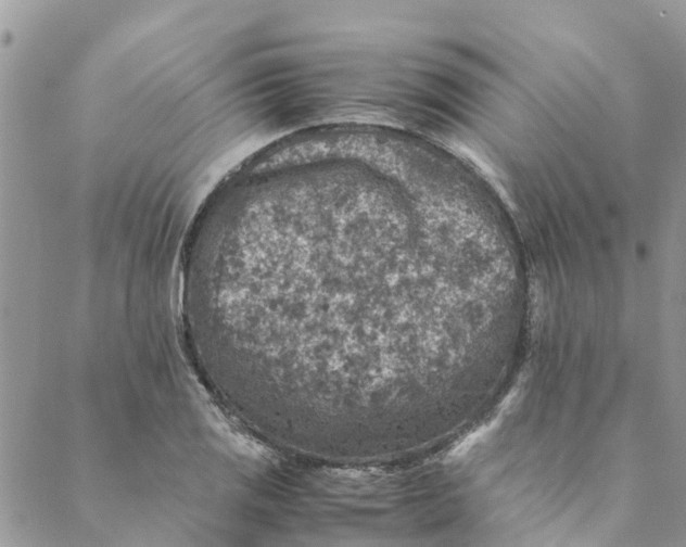 X0000088401125200706121228