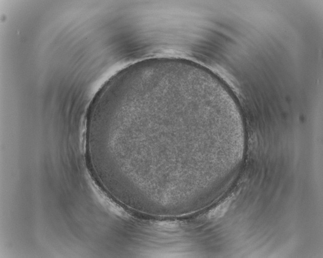 X0000088401126200706121228