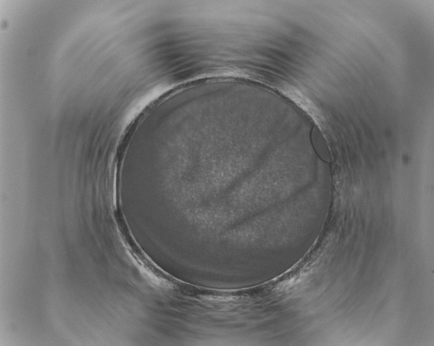 X0000088401127200706121228