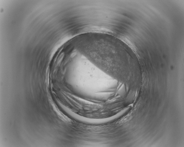 X0000088401128200706121228