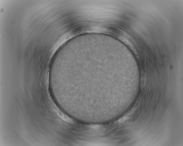 X0000088401130200706121228