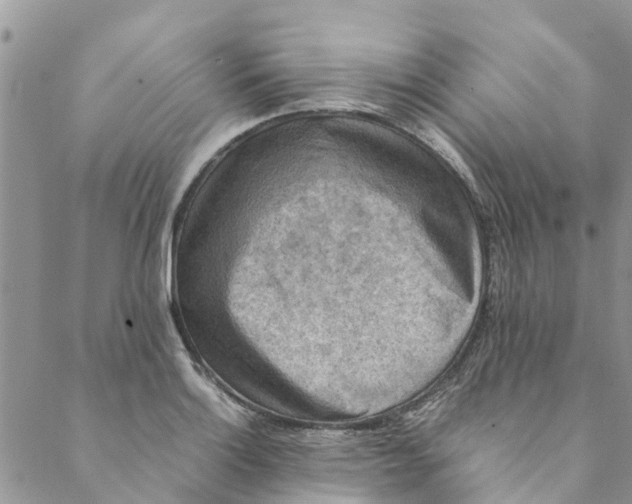 X0000088401132200706121228